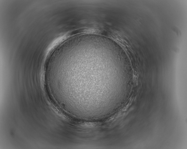 X0000113150149200909181757