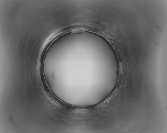 X0000113150150200909181757