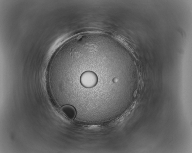 X0000113150151200909181757