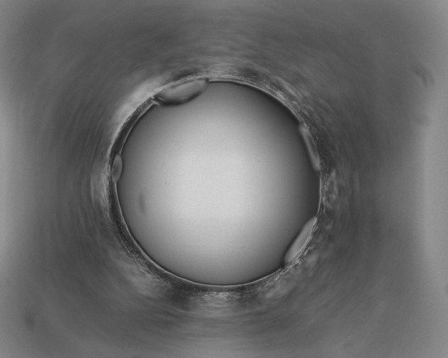 X0000113150152200909181757