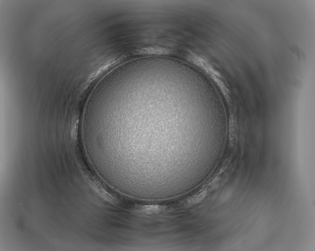 X0000113150153200909181757