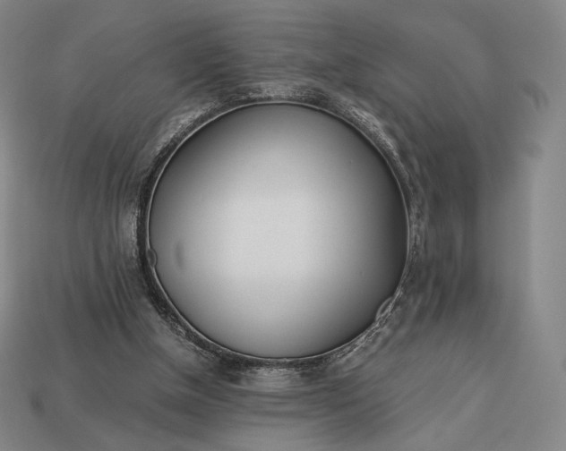 X0000113150154200909181757