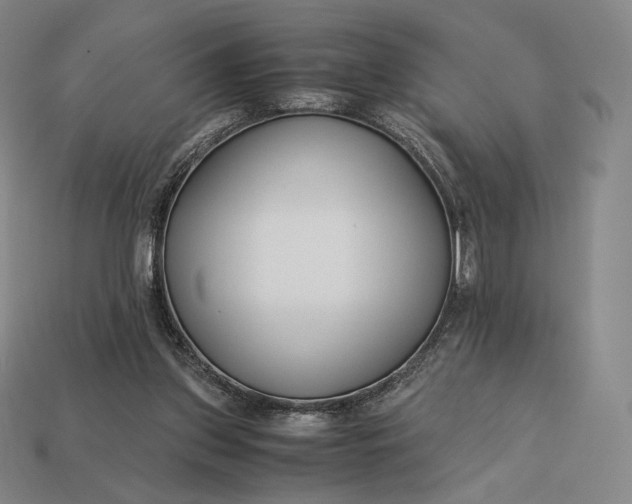 X0000113150157200909181757