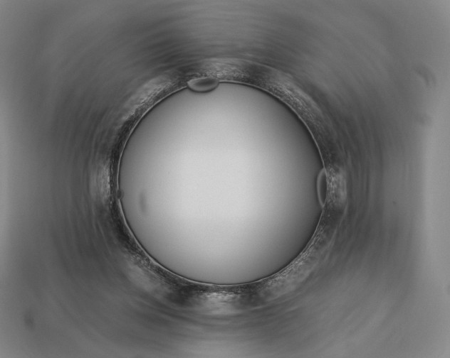 X0000113150158200909181757