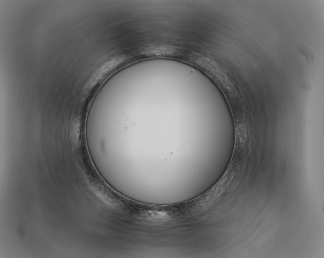 X0000113150159200909181757