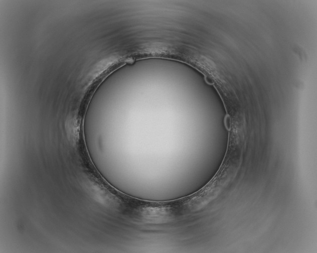 X0000113150160200909181757