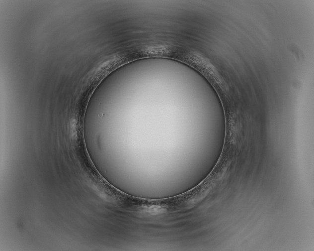 X0000113150161200909181757