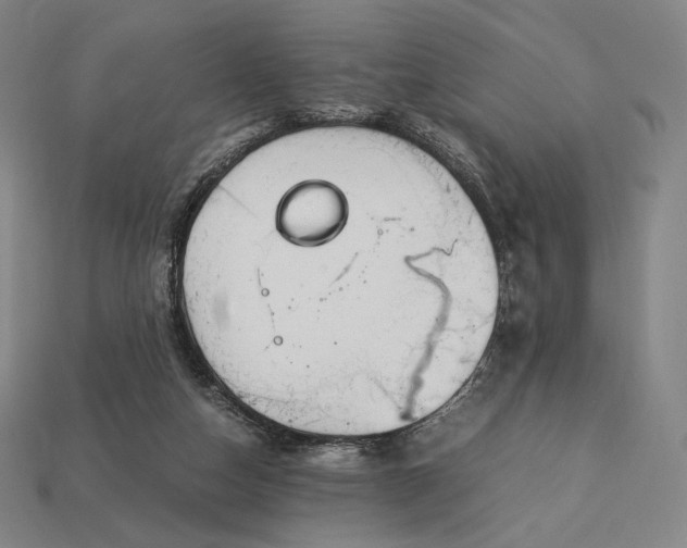 X0000113150162200909181757