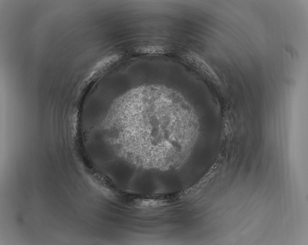 X0000113150163200909181757