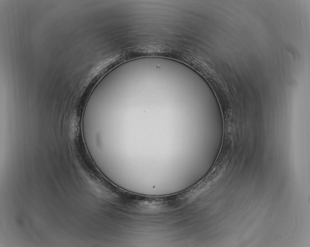 X0000113150164200909181757