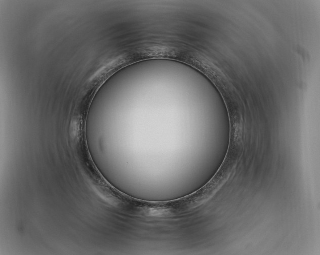 X0000113150165200909181757