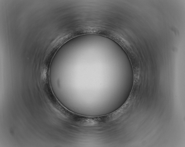 X0000113150166200909181757