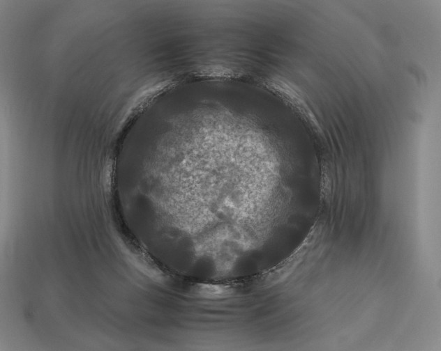 X0000113150167200909181757