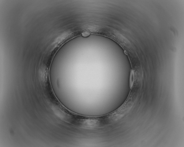 X0000113150168200909181757