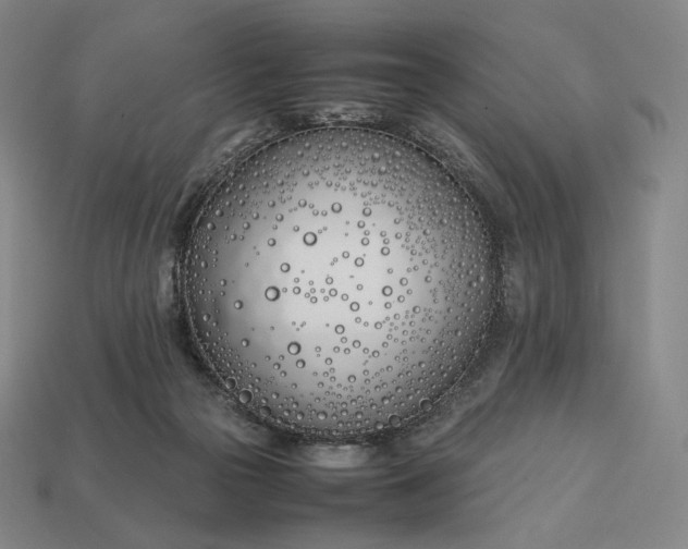 X0000113150169200909181757