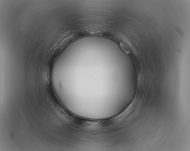 X0000113150170200909181757