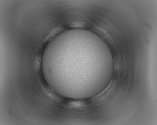 X0000113150171200909181757