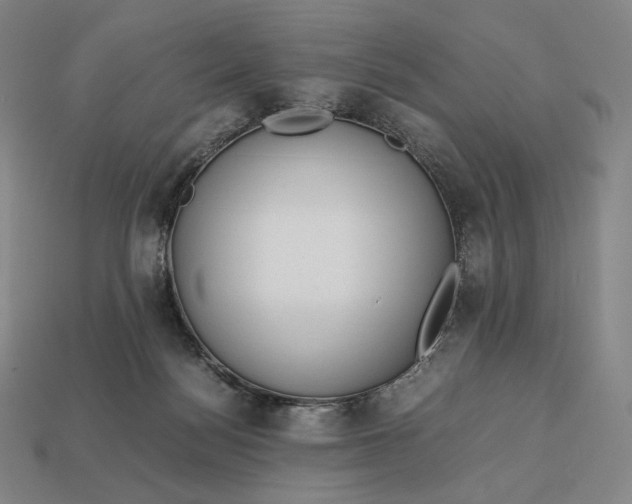 X0000113150172200909181758