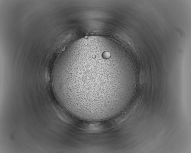 X0000113150173200909181758