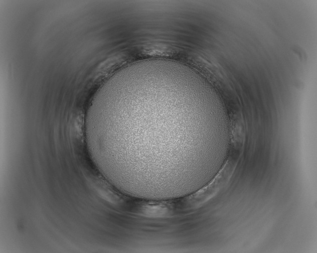 X0000113150175200909181758