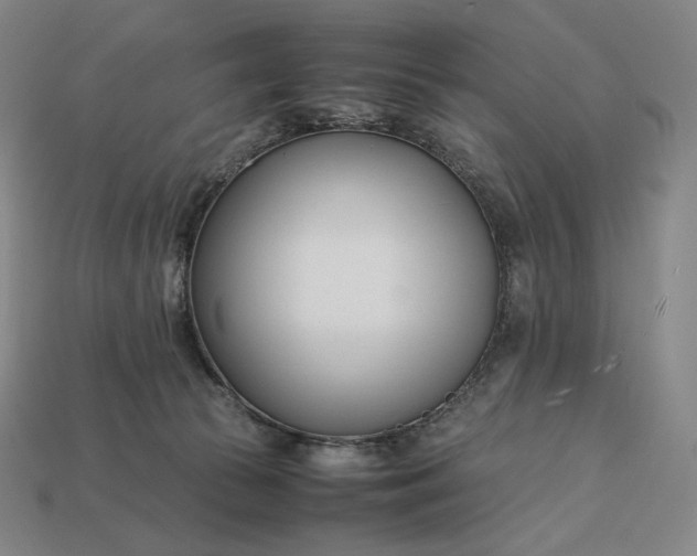 X0000113150177200909181758