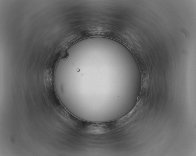 X0000113150179200909181758