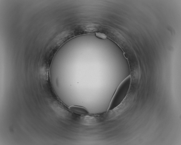 X0000113150180200909181758