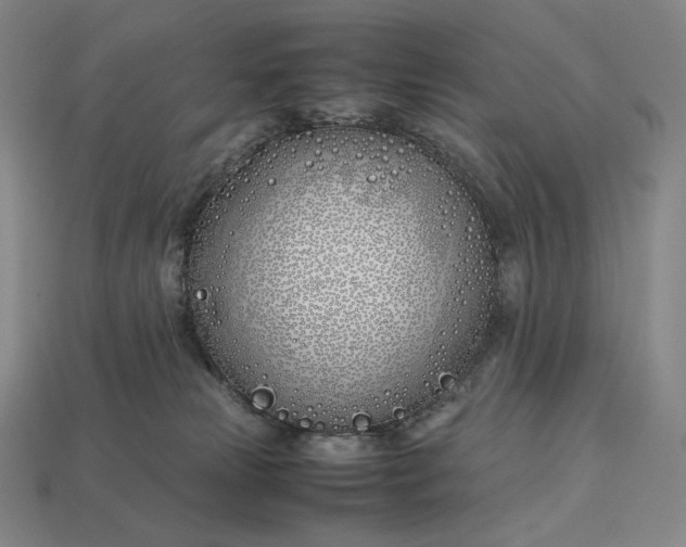 X0000113150181200909181758