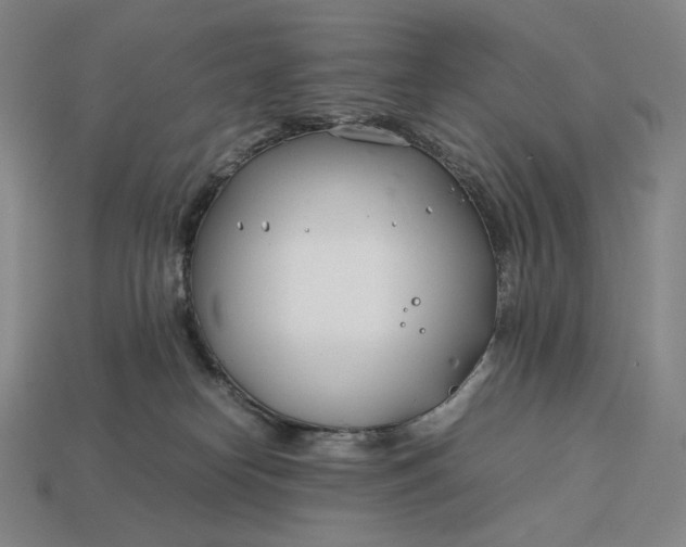 X0000113150182200909181758