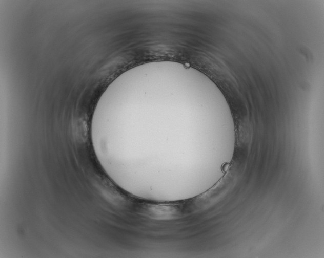 X0000113150183200909181758