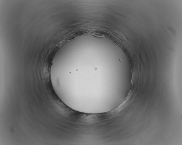 X0000113150186200909181758