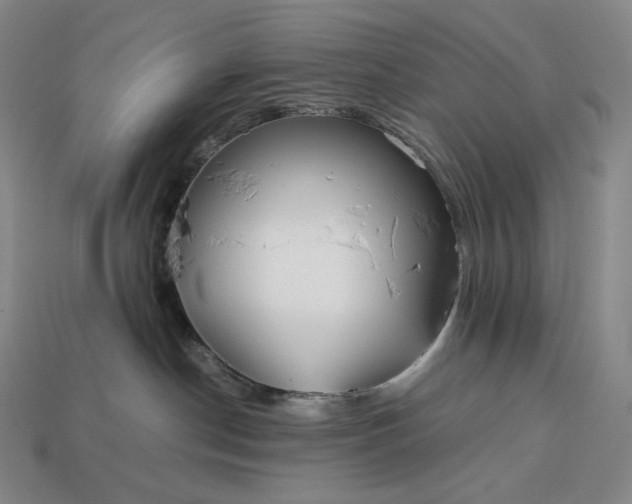 X0000113150190200909181758