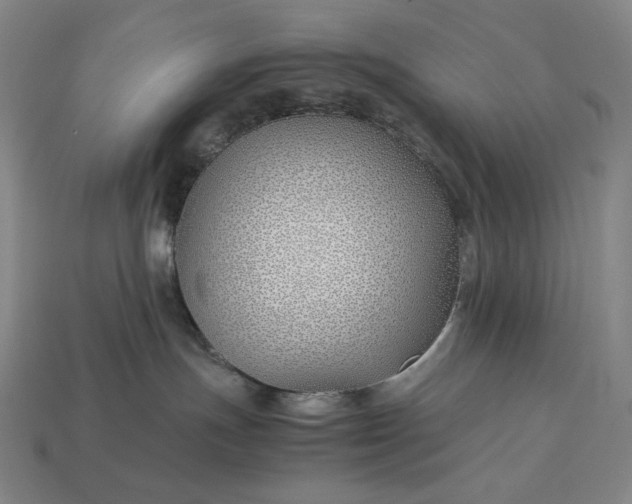 X0000113150191200909181758