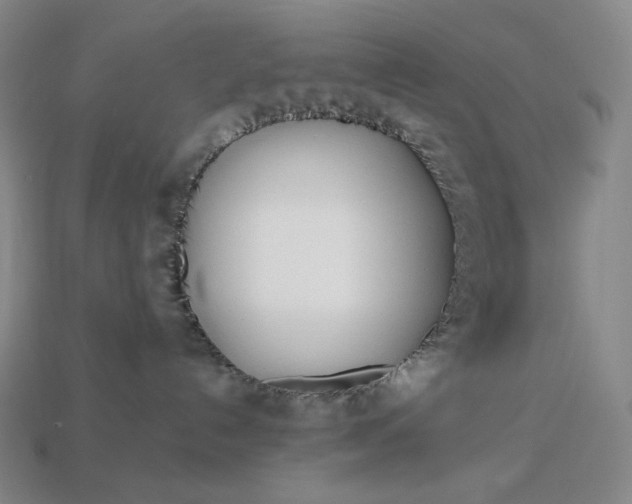 X0000113150192200909181758