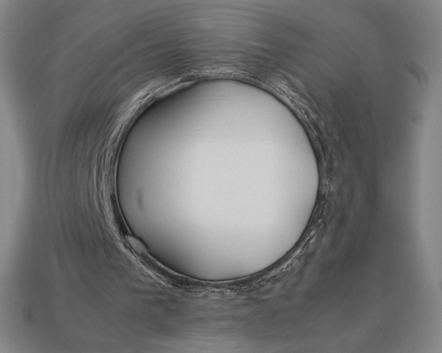 X0000113150193200909181757