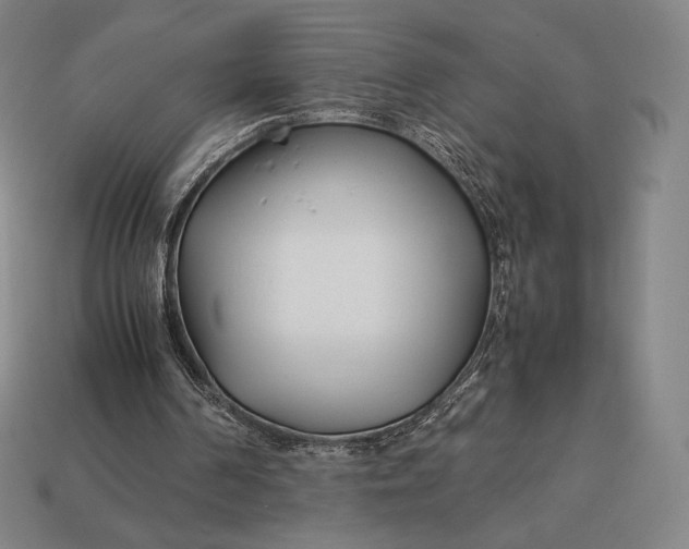 X0000113150194200909181757