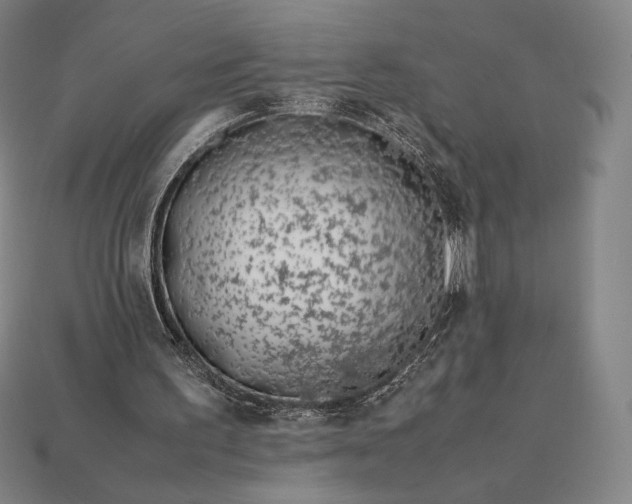 X0000113150195200909181757