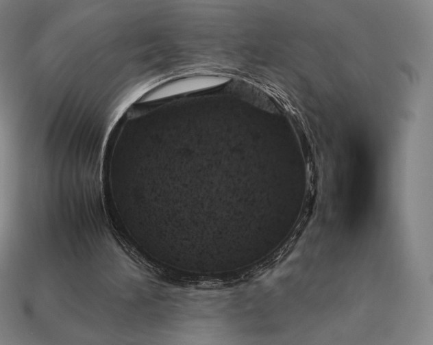 X0000113150196200909181757