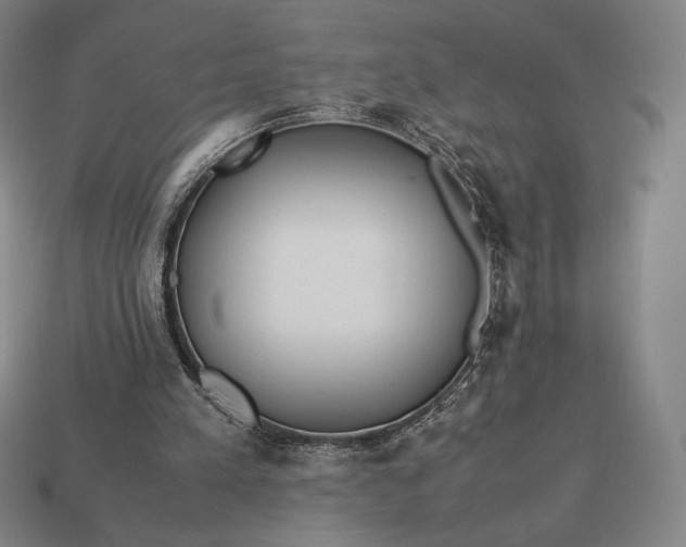 X0000113150197200909181757