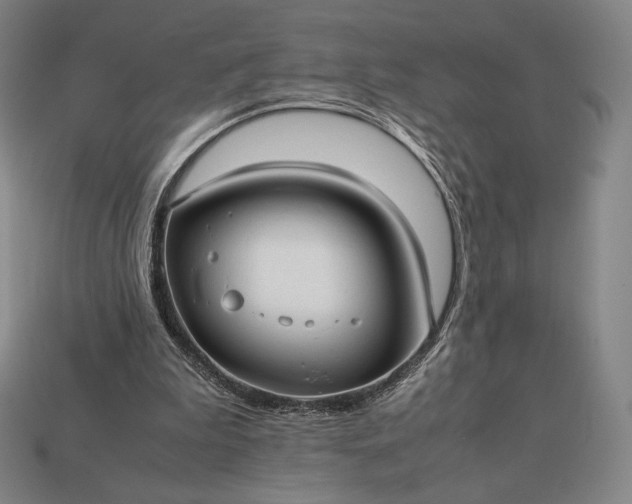 X0000113150199200909181757