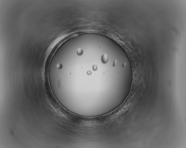 X0000113150200200909181757