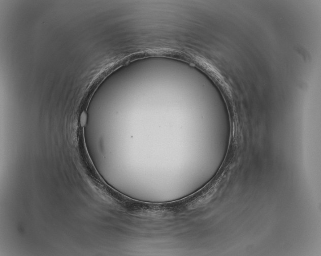 X0000113150201200909181757