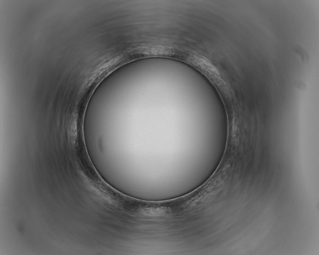 X0000113150202200909181757