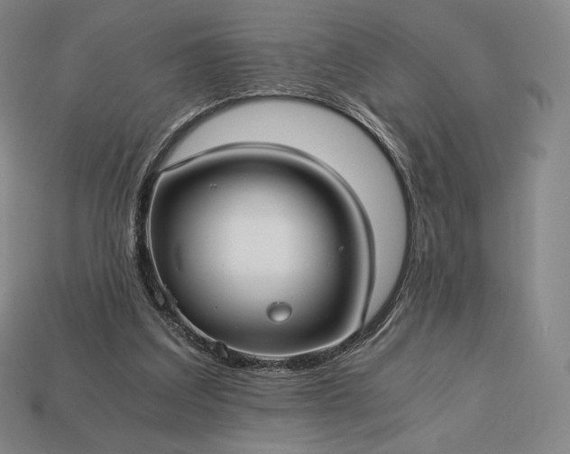 X0000113150203200909181757