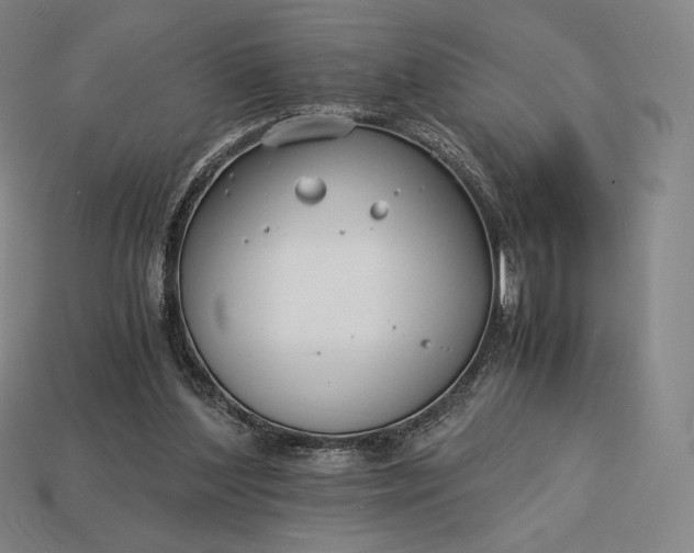 X0000113150204200909181757