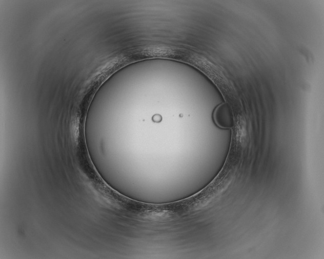 X0000113150206200909181757