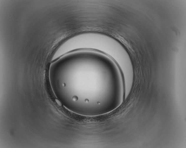 X0000113150207200909181757