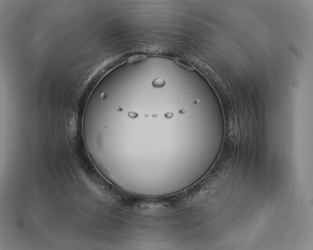 X0000113150208200909181757