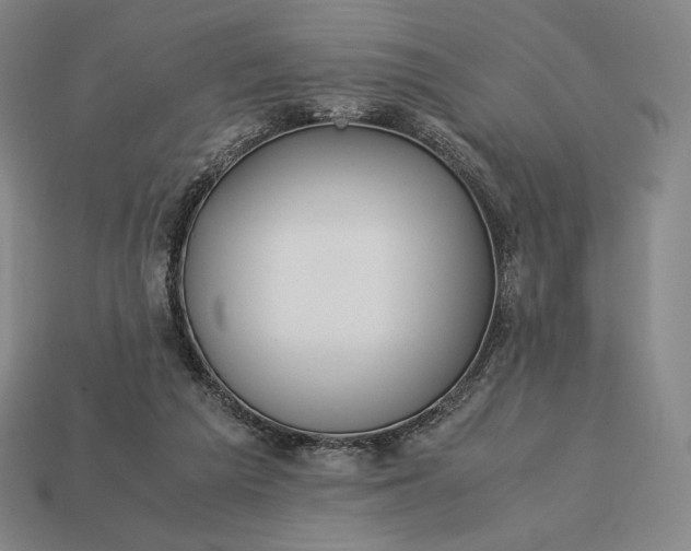 X0000113150209200909181757