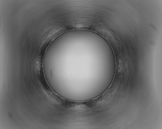 X0000113150210200909181757